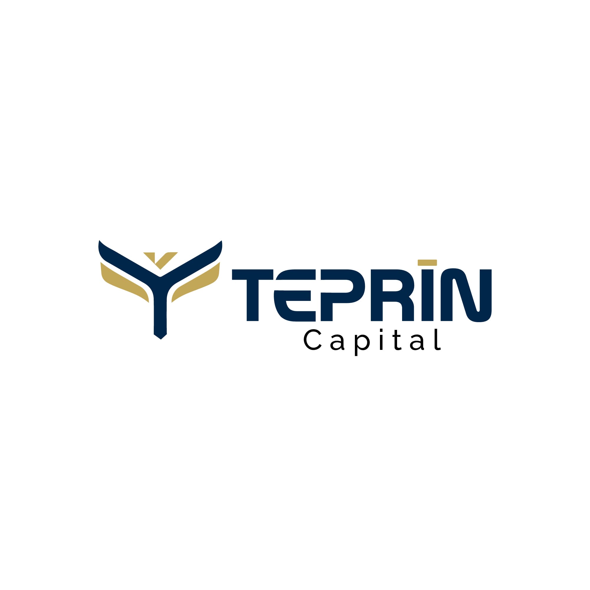 Teprin Capital